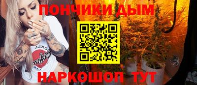 индика Лесосибирск