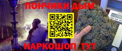 индика Лесосибирск