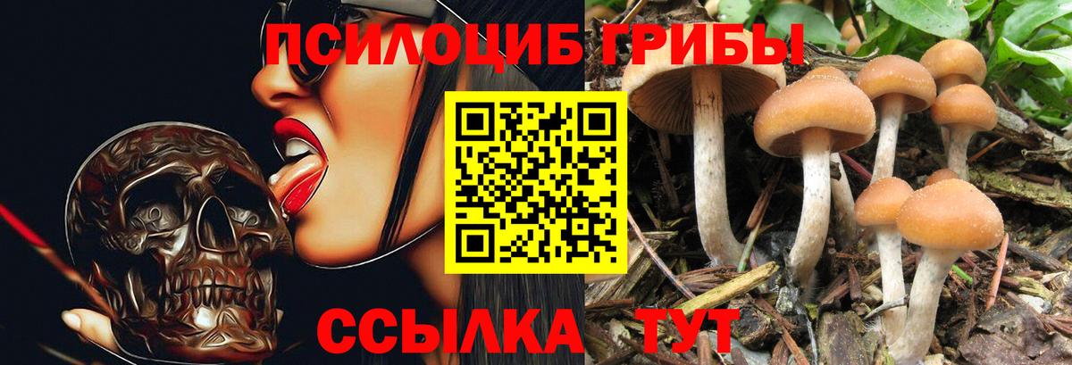 Грозный  ГАШИШ  Вход с VPN  Конопля  Героин  НБОМе  Меф МЯУ МЯУ кристаллы  Купить закладку 