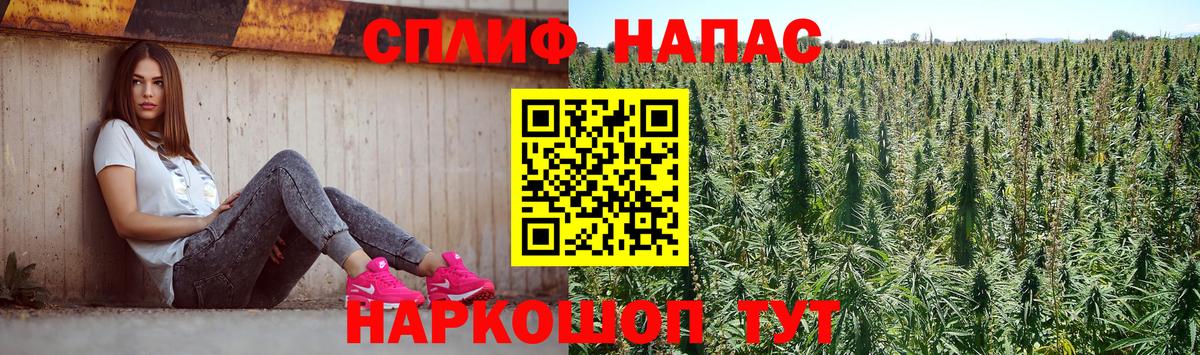 Бошки Шишки планчик Грозный